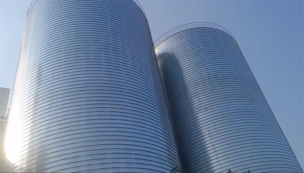 富文镇2座混凝土高架卷板仓